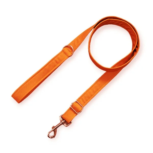 Correa modelo Naranja para perros