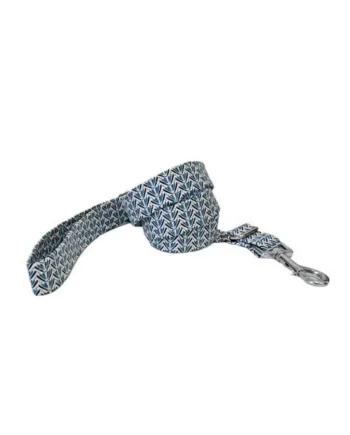 Correa modelo Pincel Azul para perros