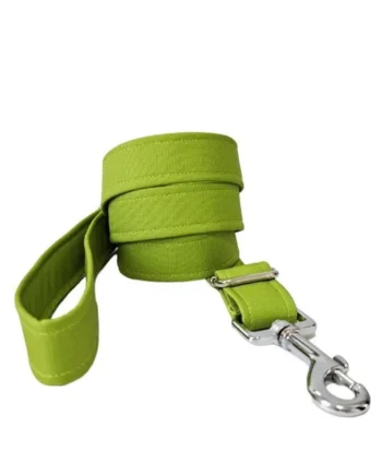 Correa modelo Pistacho para perros