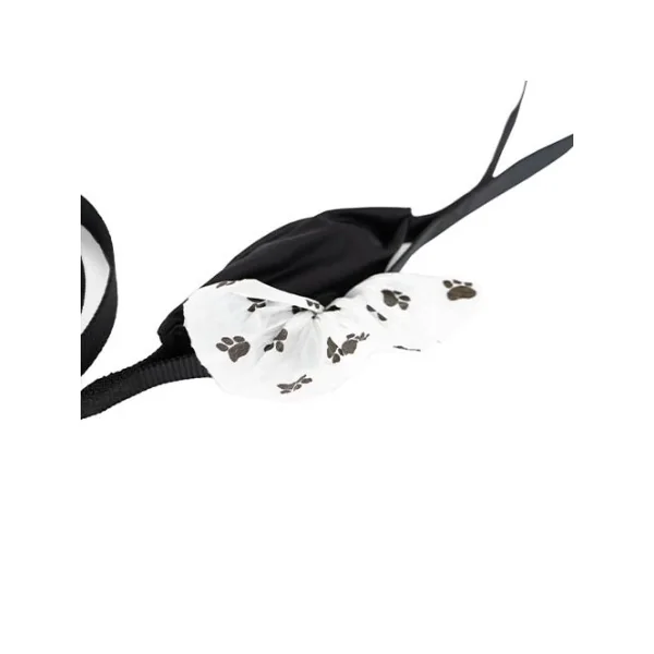 Correa Portabolsitas