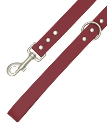 Correa Waterproof modelo Vino para perros