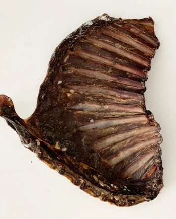 Costillar de corzo