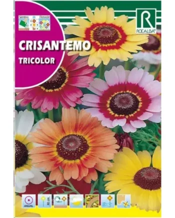 Crisantemo Tricolor, Variado