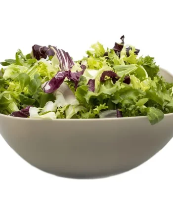 Cuenco de plastico cuadrado para comida Bol 2.7 Litros Marron
