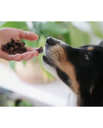 Daditos de pulmón de cordero Premios para perros