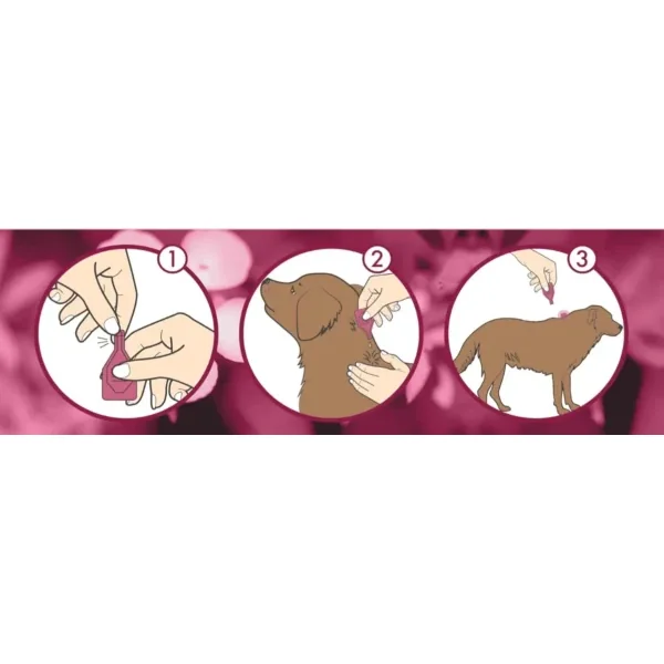 Dermoscent ATOP 7 Spot-On para perros y gatos Piel atópica, picor y dermatitis