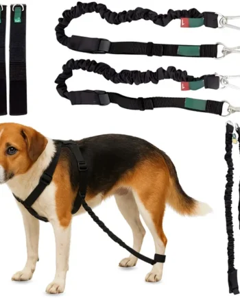 Dispositivo para Ataxia Canina | Asistencia para Perros