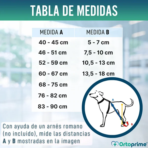 Dispositivo para Ataxia Canina | Asistencia para Perros