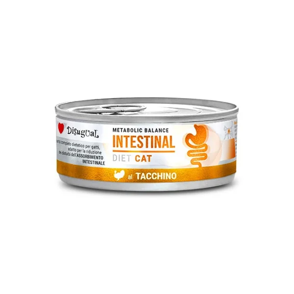 Disugual Diet Cat Intestinal Pavo Lata para Gatos