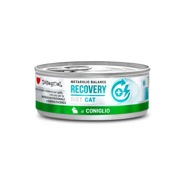 Disugual Diet Cat Recovery Conejo Lata para Gatos