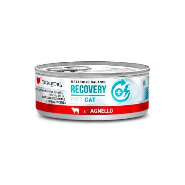 Disugual Diet Cat Recovery Cordero Lata para Gatos