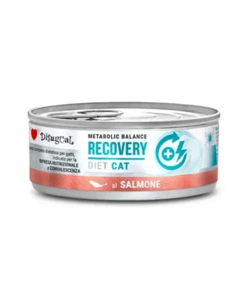 Disugual Diet Cat Recovery Salmón Lata para Gatos