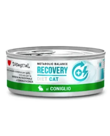 Disugual Recovery cat CONEJO 12x85 g