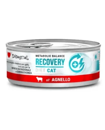 Disugual Recovery cat CORDERO 12x85 g