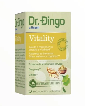 Dr Dingo Vitaly
