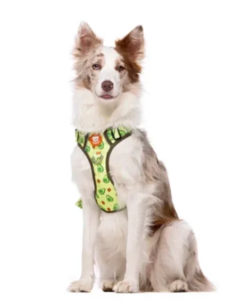 Dukier Arnés perro antitirones Trail Avocado