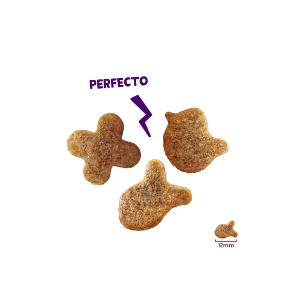 Edgard Cooper - Crunchies, galletitas para gato