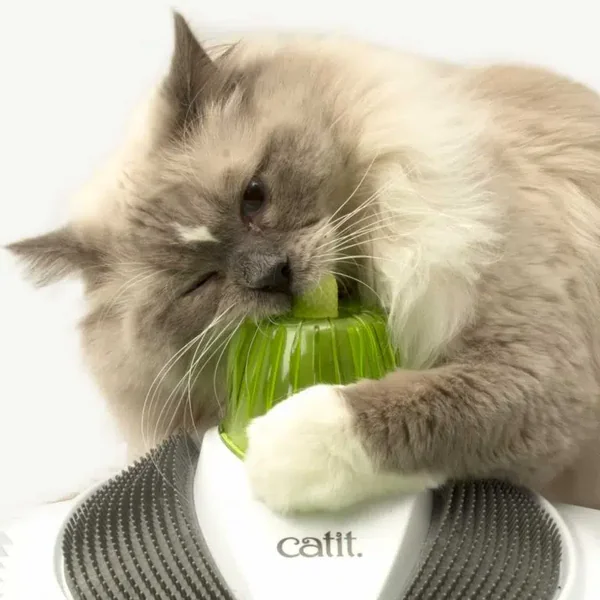 Encuentra el regalo perfecto: Catit Centro De Masajes Sense 2.0 Wellness disponible a excelentes precios en Gatospetshop.com en le Sevilla España.