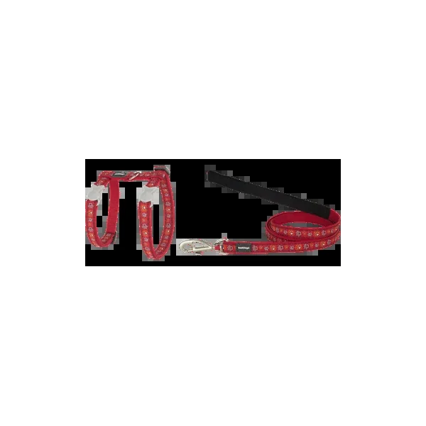 Encuentra las ofertas de Outlet de Red Dingo Petral-Correa Gato Style Paw Impression Rojo en Productos Para Gatos España.