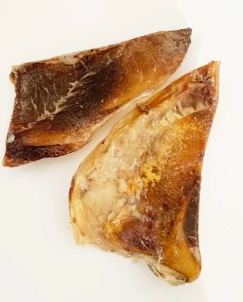 Escápula de vacuno