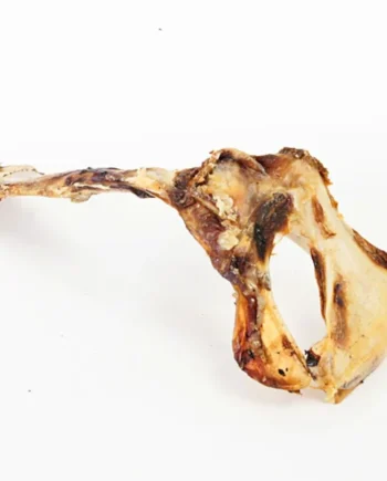 Esternón de avestruz