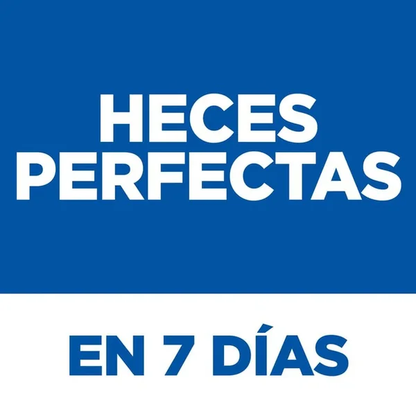 Evento de liquidación: nueva serie fresca de Hill's Hill’s Science Plan Perfect Digestion Adult Pollo Pienso Para Gatos en Productos Para Gatos Madrid España.