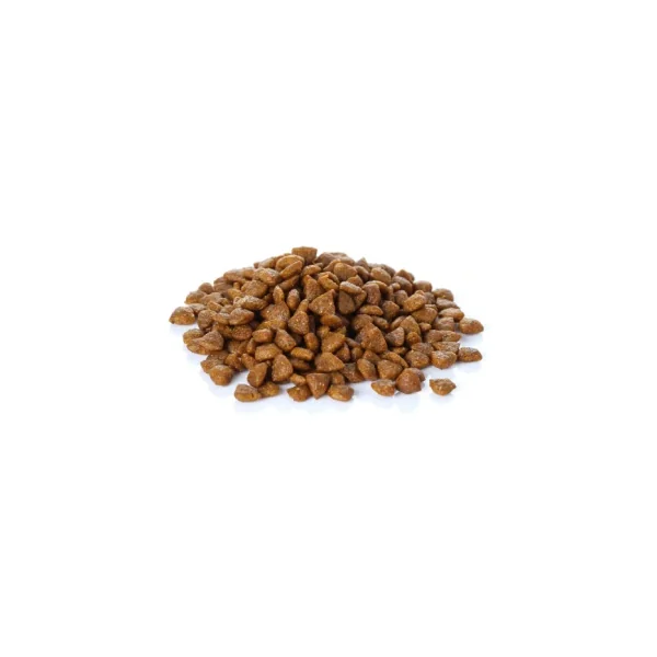 Explora los mejores regalos de Cat Sterilised Fish para padres en Gatospetshop.com.
