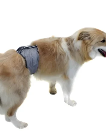 Faja Antigoteo para Incontinencia Canina | Perro Macho