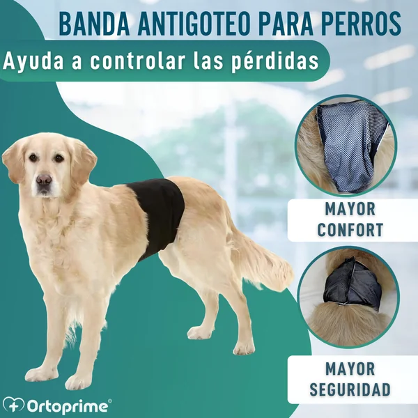Faja Antigoteo para Incontinencia Canina | Perro Macho
