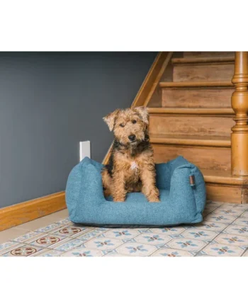 Fantail - Snooze Origin Basket