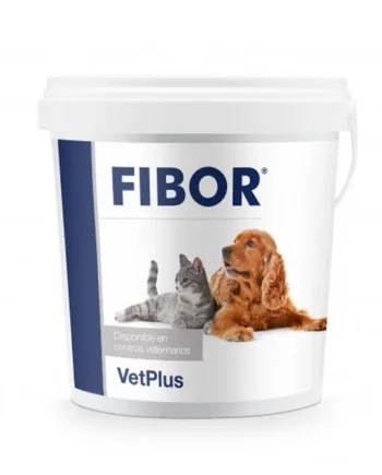 Fibor