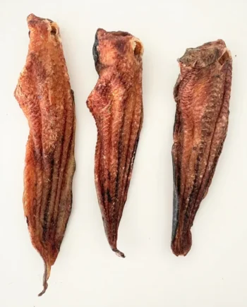 Filete de bagre