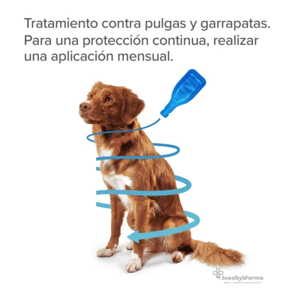 FIPROtec Pipetas Antiparasitarias Perros Beaphar 4 pipetas