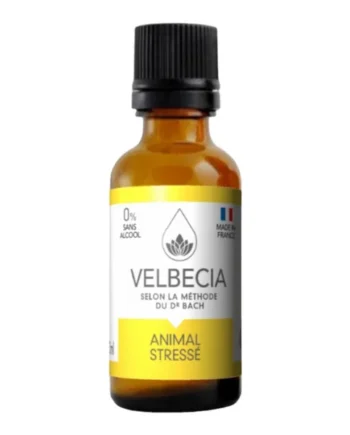 Flores de bach stress