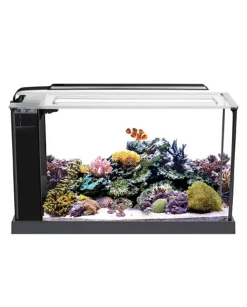 Fluval Evo Acuario Marino, Negro, 19L
