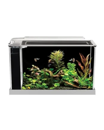 Fluval Spec Nano Acuario Blanco, 19L