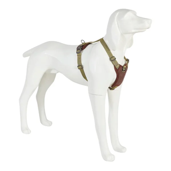 Freedog Arnes Linum Green Forest Para Perros