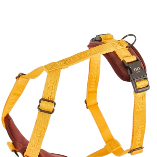 Freedog Arnes Linum Yellow Sunrise Para Perros