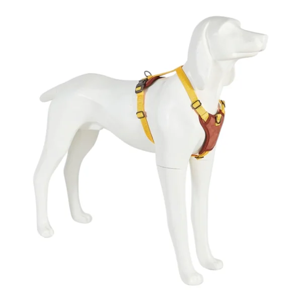Freedog Arnes Linum Yellow Sunrise Para Perros