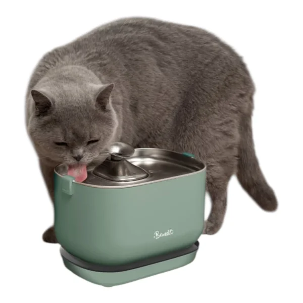 Fuente Bandit Inox para Mascotas — Sin Enchufes, Agua Siempre Fresca
