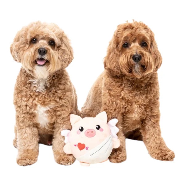 FuzzYard Love Toy Pig para Perros — Peluche Original Australiano