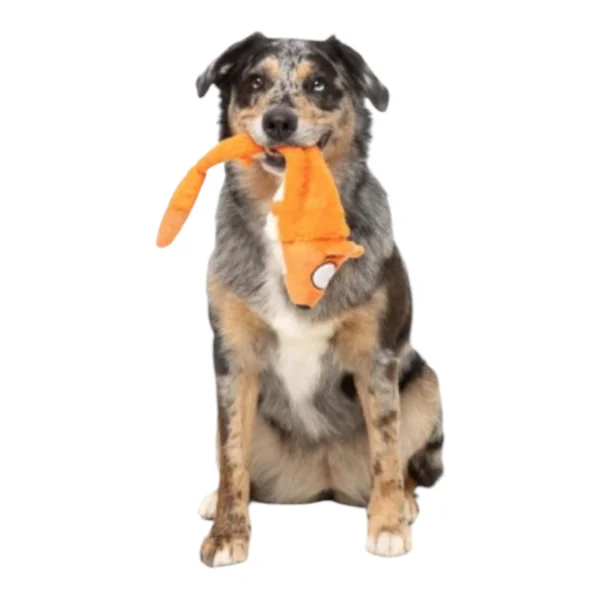 FuzzYard Rack Peluche para Perros — Rata o Zorro Original Australiano