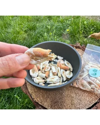 Gambas deshidratadas