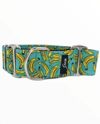 Gosk Collar Martingale Blue Banana — Collar Antiescape para Perros