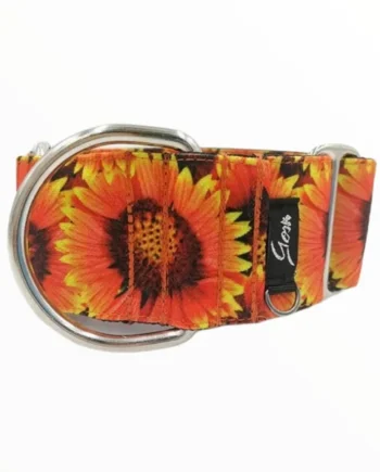 Gosk Collar Martingale Girasoles — Collar Antiescape para Perros