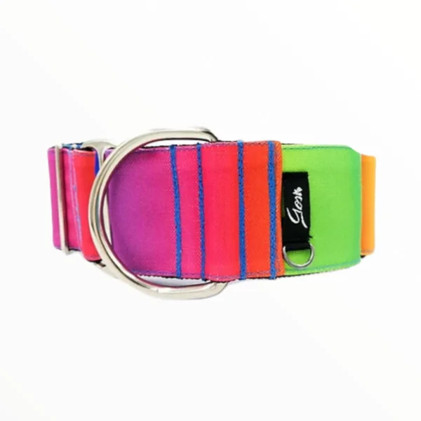 Gosk Collar Martingale Rainbow — Collar Antiescape para Perros