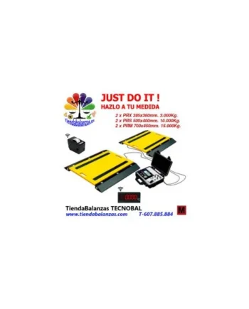 GRAM PR 2 uni. PRM-15T 700x450 15.000kg 5kg PESAJE MOVIL CAMIONES