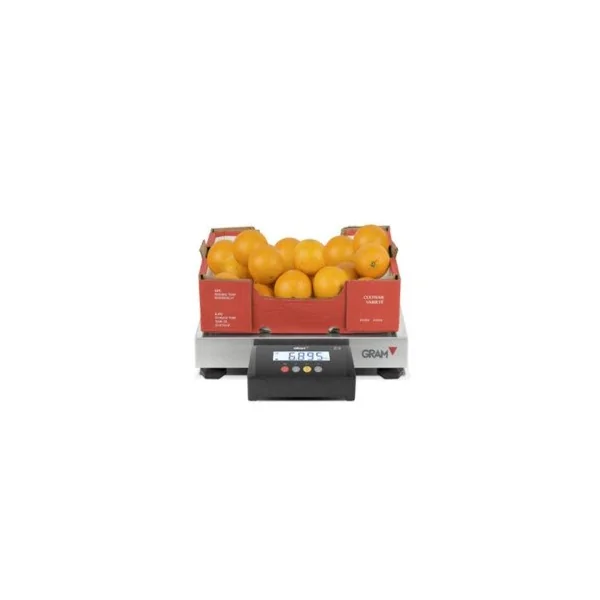 GRAM Z3T 6/15/30/60/150Kg 300x240/400x300/500x400/