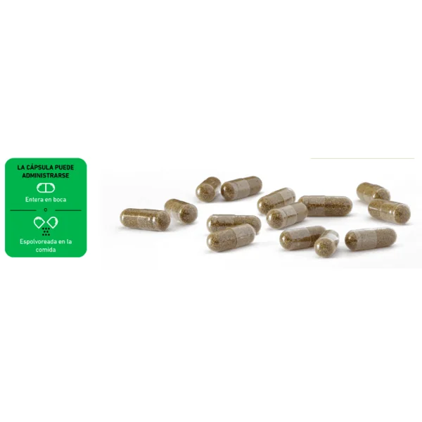 Hemdiol Flex CBD perros gatos 30 cápsulas