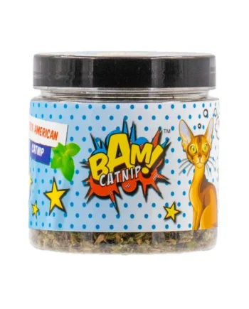 Hierba Gatera BAM! de Catnip para Gatos